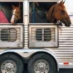 Trailer Insurance